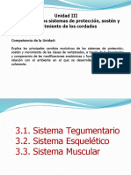 Evolución sistemas protección, sostén y movimiento cordados