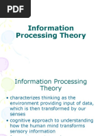 Information Processing Theory