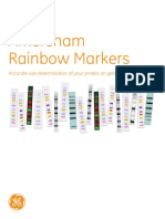 Amersham Rainbow Markers