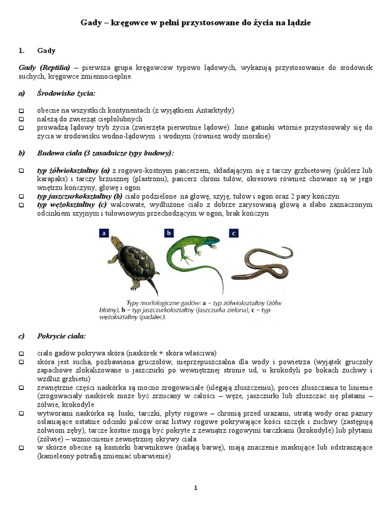 Plazy I Gady Sprawdzian Klasa 6 Gady – kręgowce w pełni przystosowane do życia na lądzie | PDF