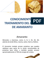 Grano de Amaranto