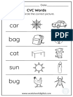 Car Bag Cat Sun Bug: CVC Words