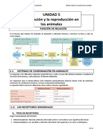 Relación y reproducción animales