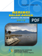 Kerinci Dalam Angka 2012