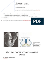 Desarrollo del oído interno