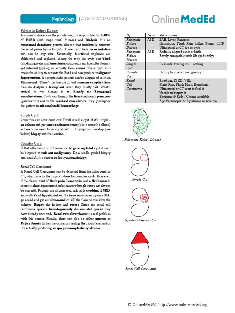 Liver Cysts And Cancer