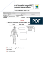 Guia Ciencias-Quinto Junio 8 Al 11