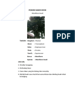 Tgs Biologi Plantae Mengeprint Sem 2 A4 - Copy (3)