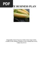 Download Maize Business Plan by preetjukeboxi SN62431322 doc pdf