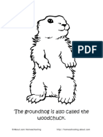 Groundhog Color 2