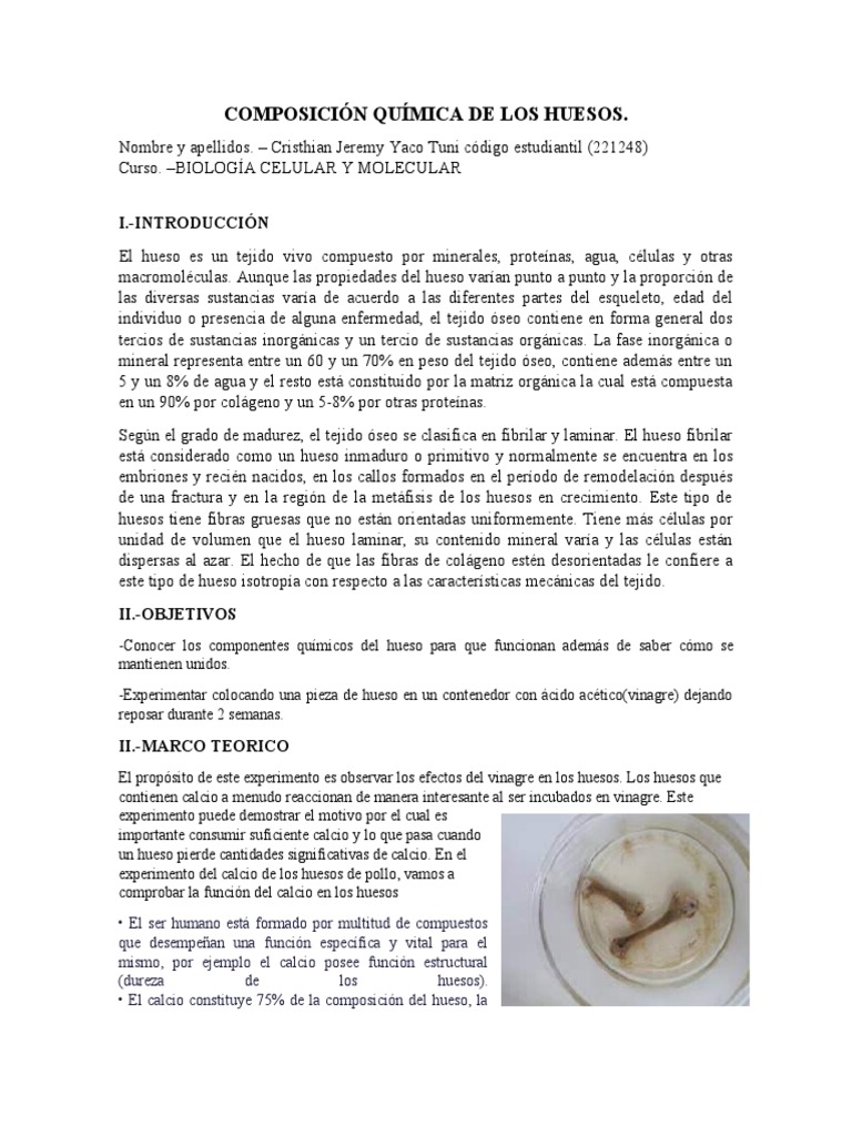 Composición Química de Los Huesos PDF