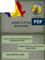 2._Agricultura_României