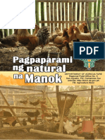 Pagpaparami NG Natural Na Manok 2021