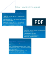 Sistema Endocrino