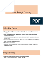 Morfologi Batang