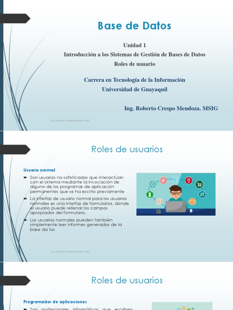 Introducción a Bases de Datos y Roles | PDF | Usuario (informática ...