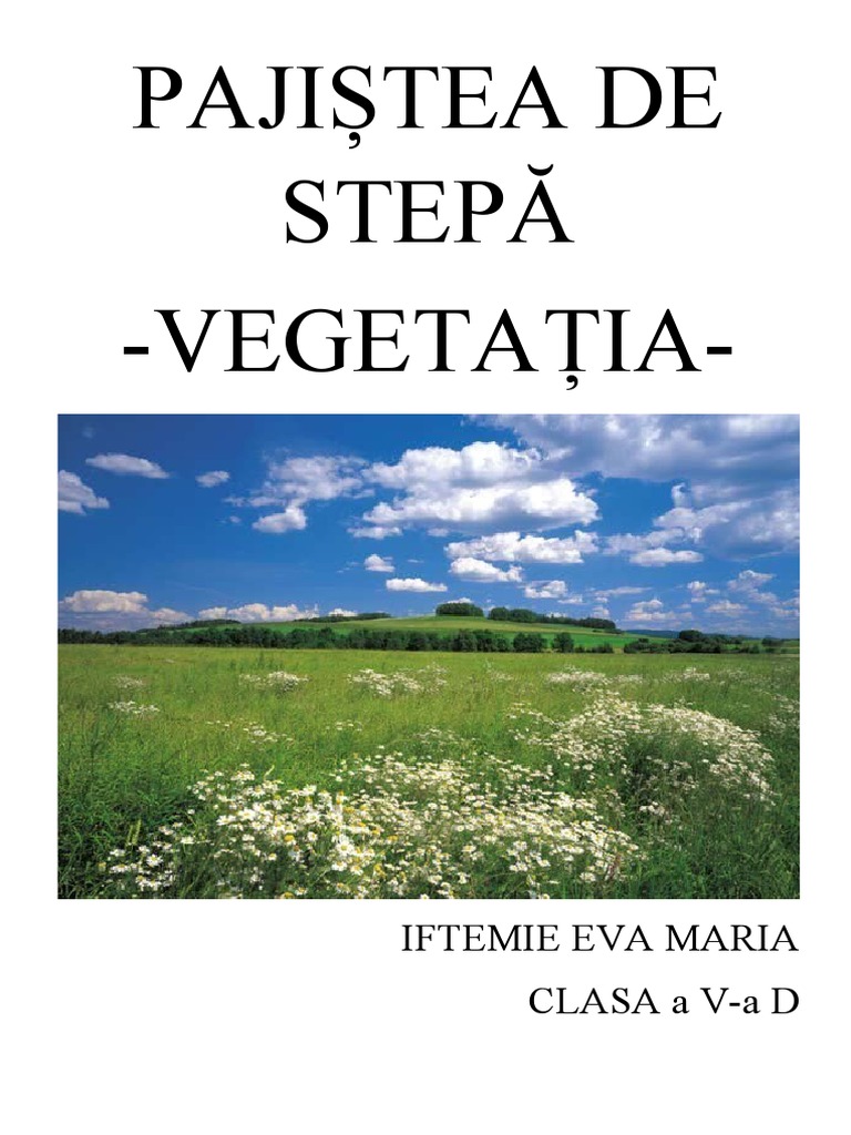 Pajistea de Stepa | PDF