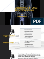 Gangguan Struktur & Fungsi Sistem Reproduksi (laki)