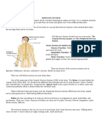 Nervous System