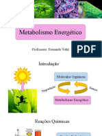 Metabolismo Energético