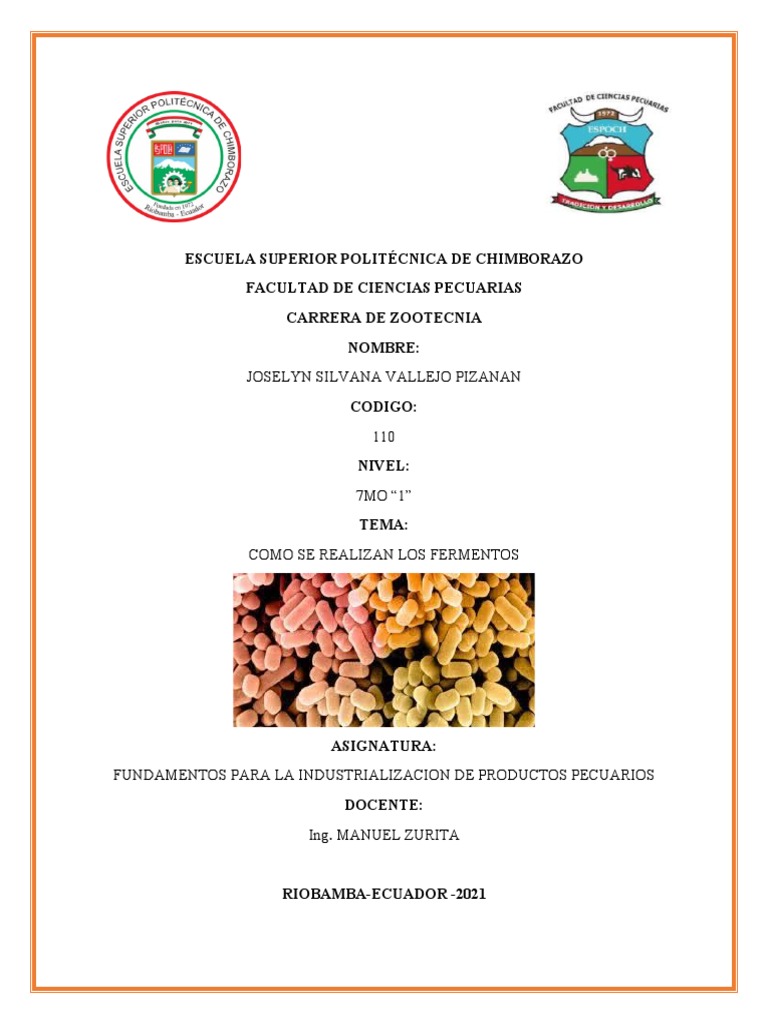 Joselyn Vallejo - Como Se Realizan Los Fermentos | PDF