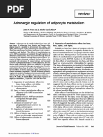 1983 - Adrenergic Regulation of Adipocyte Metabolism