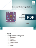 Tema 3 Factores Determinantes de La Estructura