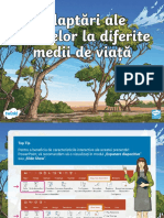 Ds 151 Adaptari Ale Plantelor La Diferite Medii de Viata Prezentare Powerpoint - Ver - 3