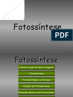 fotossíntese