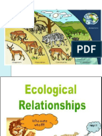 Ecological Relationship