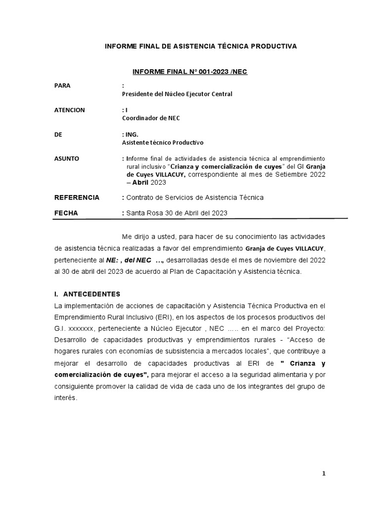 Informes - Final - Modelo | PDF | Iniciativa empresarial | Creación de ...