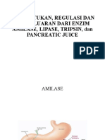LO 3B Kabeh (Amilase, Lipase, Tripsin, Pancreatic Juice)
