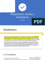 Clase 9. Respiración Celular y Fotosíntesis