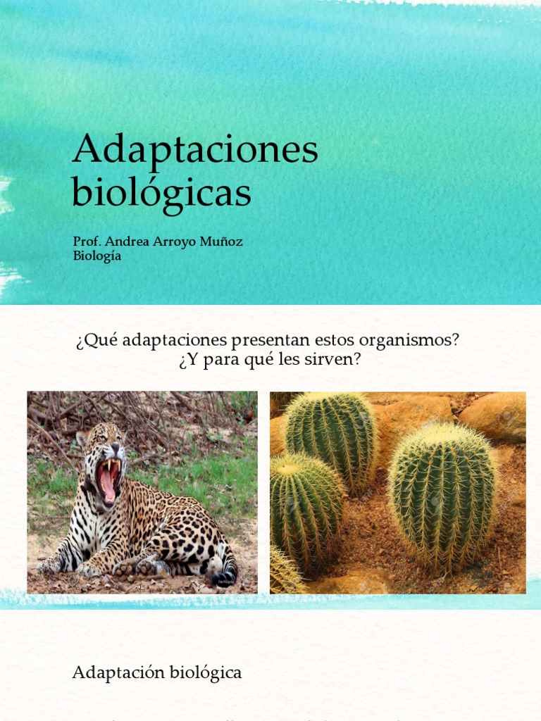 Adaptaciones biológicas en organismos | PDF | Mimetismo | Adaptación