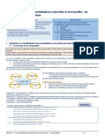 CHAP6 Immobilisations Spécifiques