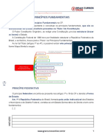 Princípios Fundamentais