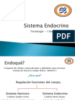 Sistema Endocrino