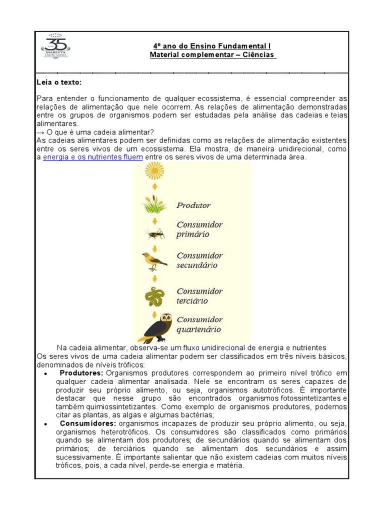 Ciencias 4 Ano Cadeia Alimentar | PDF | Ecossistema | Food Web