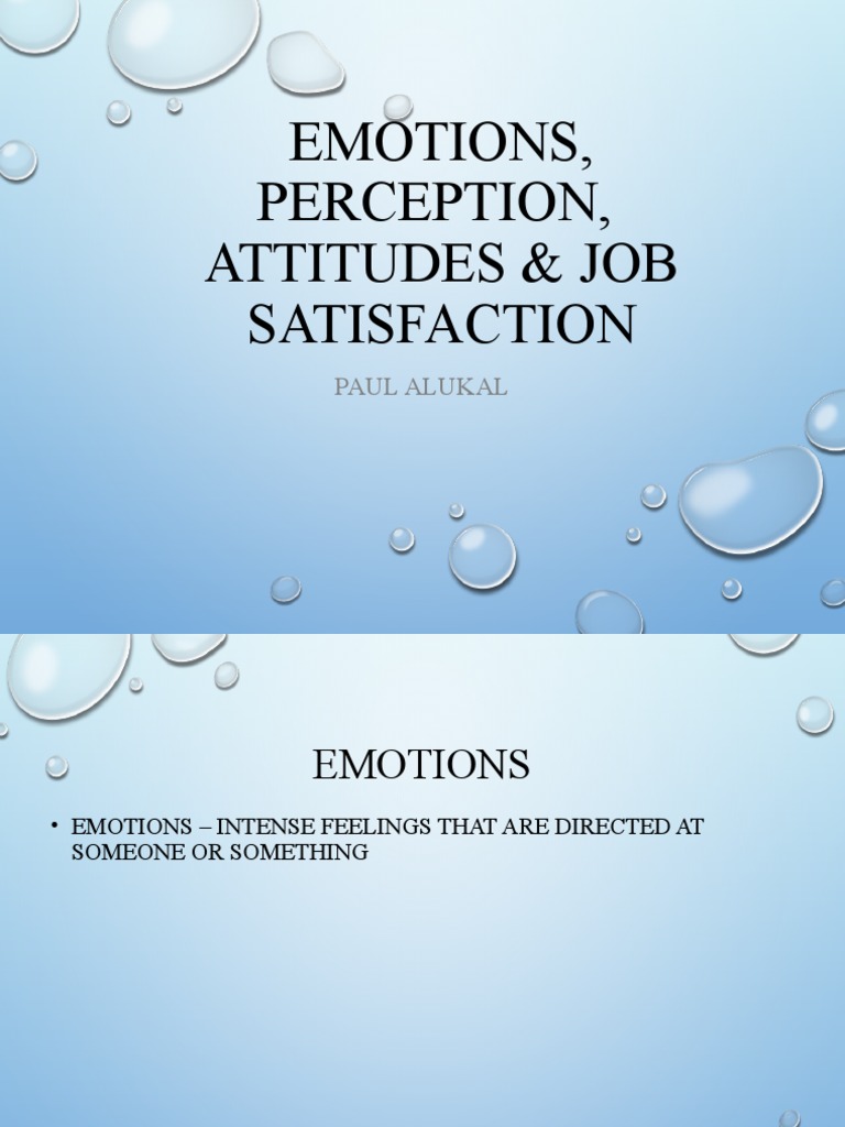 Emotions and Job Satisfaction Insights | PDF | Emotions | Job Satisfaction