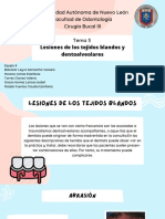 Clasificacion de Las Lesiones Traumaticas de Los Dientes y Las Estructuras de Apoyo