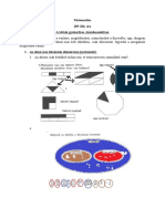 Matematika (105 106)