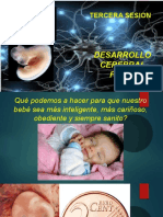 Sesion Desarrollo Cerebral Fetal