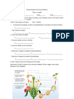 Prueba Sumativa de Ciencias Naturales