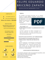 Curriculum Vitae Eduardo Briceño