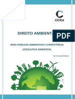 2 Bens Publicos e Competencia Legislativa Ambiental 25