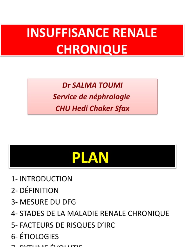Insuffisance Rénale Chronique: Guide Complet | PDF | Insuffisance ...