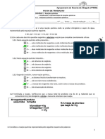 Ficha de Acerto de Equações Químicas