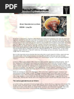 Of All the Fu Zheng Herbs