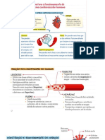 Sistema Cardiovascular - resumo