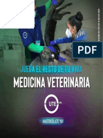 Veterinaria